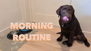 LABRADOR PUPPYS MORNING ROUTINE [upl. by Merridie]