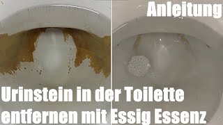 Urinstein in der Toilette entfernen mit Essig Essenz Anleitung [upl. by Akino]