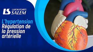 Lhypertension  Régulation de la pression artérielle [upl. by Aynodal175]