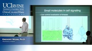 Introduction to Chemical Biology 128 Lecture 18 Terpenes and Cell Signaling Part 2 [upl. by Buote]