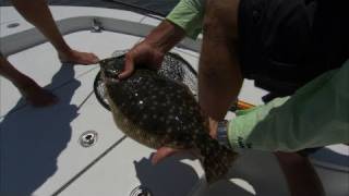 St Augustine Florida Fishing for Cobia Redfish and Flounder [upl. by Checani454]