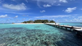 Banyan Tree Vabbinfaru Maldives  September 2023 Pristine Maldives Good snorkelling indianocean [upl. by Ahsiyt593]