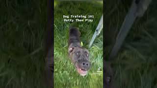 Dog Training 101 Potty Then Play Potty Train Puppy Before Playtime Crate to Potty Potty To Play [upl. by Palla]