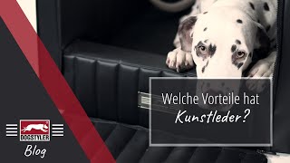 Hundebetten und Hundesitze aus KUNSTLEDER Was sind die Vorteile  Hundewissen 0005 [upl. by Chaffinch]