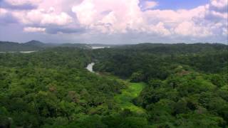 ¿Cuántas especies habitan en la cuenca hidrográfica del Canal de Panamá [upl. by Mun]