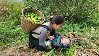 Single mother picking lemons to sell  the daily life of mother and daughter [upl. by Derwon]