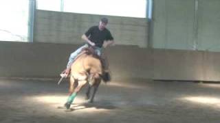 reining horse training the real head down style Circle work and speed control [upl. by Stedmann507]