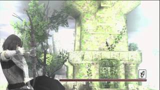 Shadow of the Colossus HD  Endangered Lizards Trophy guide 112 of 77 Shining Lizard Locations [upl. by Esidnac467]