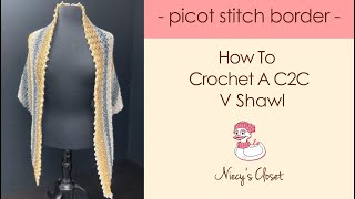 How To Crochet A C2C V Shawl  Picot Border [upl. by Ennaoj150]