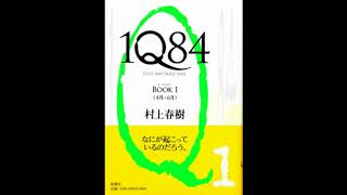 01  Joe Reads  1q84  Haruki Murakami [upl. by Ellenrahs]