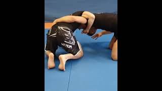 Whizzer Armlock  Advanced BJJ Short [upl. by Bogoch]