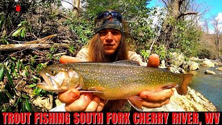 Trout Fishing Cherry River WEST VIRGINIA [upl. by Andromache409]