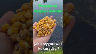 Kukurydza na Karpie i Amury Wędkarstwo Kapiowe Feeder wędkarstwo carpfishing methodfeeder [upl. by Tyre]