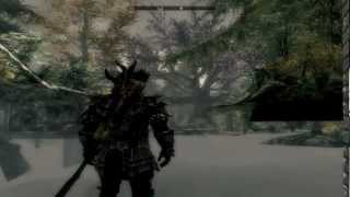 The Elder Scrolls V Skyrim Tipps amp Tricks 02  WeißlaufBug Truhe [upl. by Winzler]