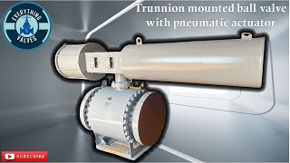 Trunnion Mounted Ball Valve with pneumatic actuator How to operate a ball valve with an actuator [upl. by Ettezzus641]