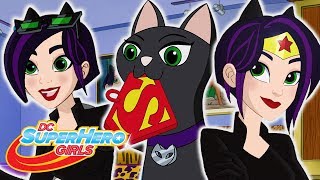 De bedste Catwoman afsnit  DC Super Hero Girls på Dansk [upl. by Deegan]