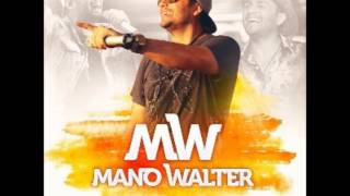 Mano Walter  CD PROMOCIONAL  VERÃO 2016  11 Musicas Novas [upl. by Akeihsat]