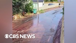 River of red wine flows through village in Portugal [upl. by Hsekar]