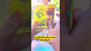 Ex මොනවද මම ගැන හිතන්නේ ❤️😊 tarot tarotsinhala love lovereading [upl. by Season630]