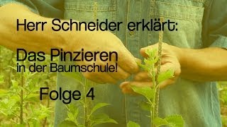 Herr Schneider erklärt Das Pinzieren in der Baumschule [upl. by Aniroc]