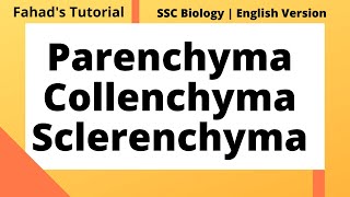 Parenchyma Collenchyma and Sclerenchyma  English Version  Fahads Tutorial [upl. by Ahsikal]