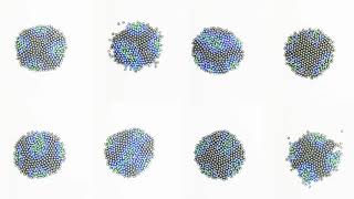 Morphogenesis in robot swarms [upl. by Daffy]