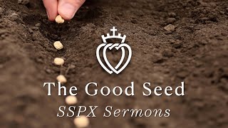 The Good Seed  SSPX Sermons [upl. by Karolina258]