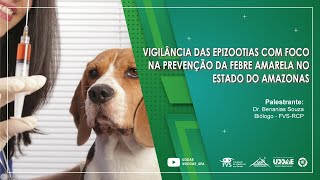 Prevenção e profilaxia da raiva humana e animal [upl. by Elyrehc432]