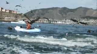 Humpback Whale Almost Kills Women in kayak [upl. by Lesnah]