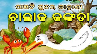 5 Special Story  Odia moral Story  Odia gapa  Suna kuradhi  Odia story  Squirrel Animation [upl. by Aromas]