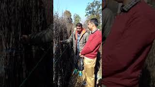 Rajat Biotech Himachal Predesh  apple nursery [upl. by Myranda]