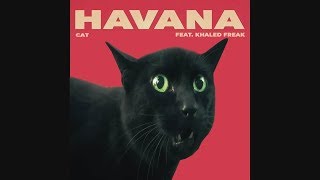 Camila Cabello  Havana Cover par des Chats [upl. by Racklin214]