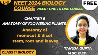 Ch6 Anatomy of Flowering Plants  Anatomy of Monocotyledons amp Dicotyledons Plants  NEET 2024 [upl. by Zetta]