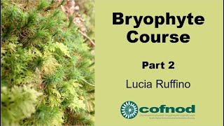 Bryophyte Course Part 2 [upl. by Zacharie]