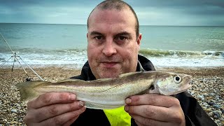 Pagham Beach Fishing with Lee Gatrell  Sea Fishing 2020  Jimmy Willis [upl. by Nonnahsal]