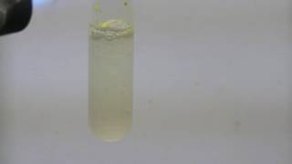 Cadmium Chemistry Cadmium Sulfide via Sodium Polysulfide [upl. by Nathanial]