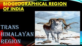 BIOGEOGRAPHICAL ZONES OF INDIA for UPSC  TRANSHIMALAYAN REGION UPSC [upl. by Ahsiemac]