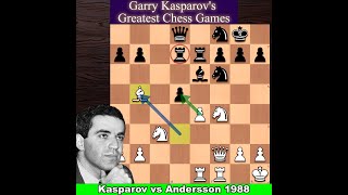 Garry Kasparov vs Ulf Andersson 1988 [upl. by Eolc634]