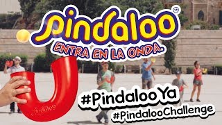 Ya conoces el juguete de habilidad del 2018 Pindaloo [upl. by Gabie]