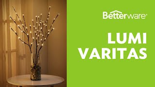 Lumi Varitas Betterware [upl. by Netsuj583]