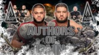 WWE The AOP Authors Of Pain Theme Song Pain  Custom Titantron 2021 [upl. by Meredith274]