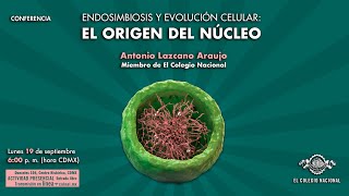 Endosimbiosis y evolución celular el origen del núcleo [upl. by Antsirhc79]