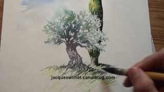 Démo Aquarelle olivier et cyprès watercolor tutorial [upl. by Nomor]