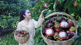 Mangosteen fruit is so sweet and delicious  Have you ever eaten mangosteen fruit [upl. by Dolores]