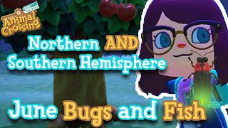 EVERY Bug and Fish ARRIVING and LEAVING in JUNE  Animal Crossing New Horizons [upl. by Noda]