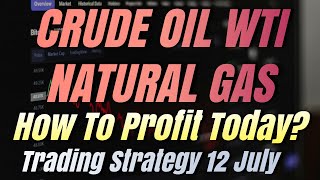 Crude Oil WTI News Live Today amp Trading Signals  Natural Gas Price Drop Prediction Today 12 July [upl. by Jojo]