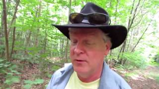 NY ADK Lake Eaton Campground and hiking around The Bog River [upl. by Adyaj415]