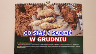 GRUDZIEŃ a Warzywa  Co siać i sadzić w Grudniu  Kalendarz Warzywnika Ogrodnika [upl. by Nosnehpets408]