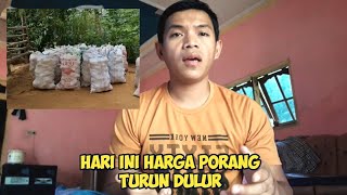 INFORMASI HARGA PORANG MENJELANG HARI RAYA IDUL ADHA MENGALAMI PENURUNAN DULUR [upl. by Ennairda696]