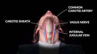 How to Perform An Emergent Cricothyrotomy Emergency Medicine  Your Design Medical [upl. by Sirromal]